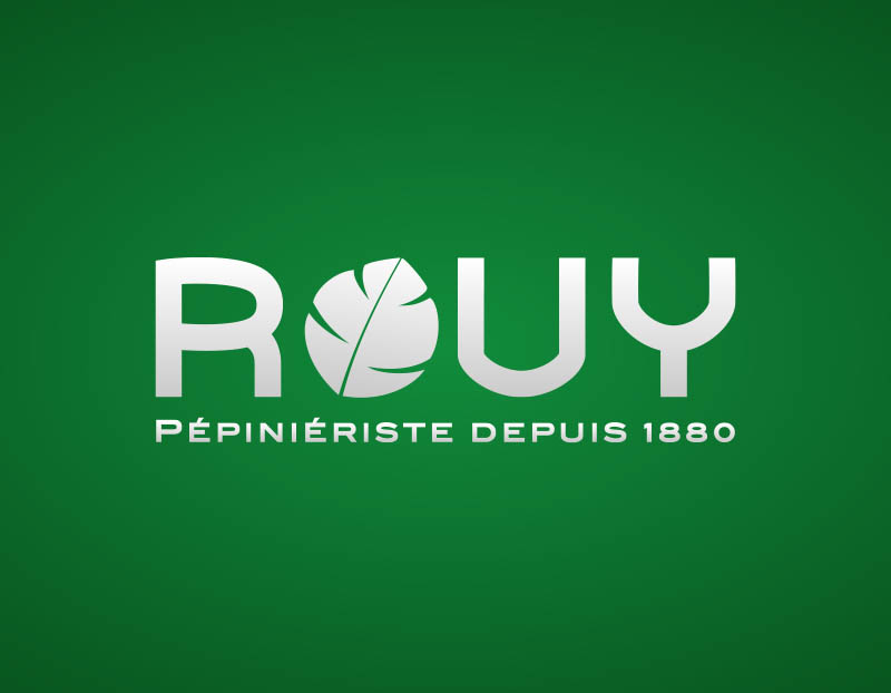 Pépinière spécialisée dans la vente en gros de plantes graminées pour refaire un jardin sur Nîmes